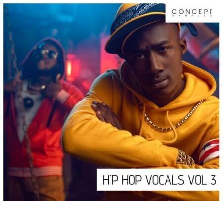 Concept Samples Hip Hop Vocals Vol.3 WAV